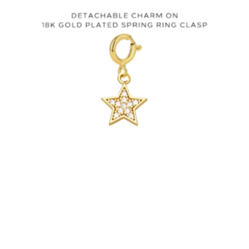 Initial, Numbers, and Assorted Charms with Detachable Clasp - Customer's Product with price 8.00
